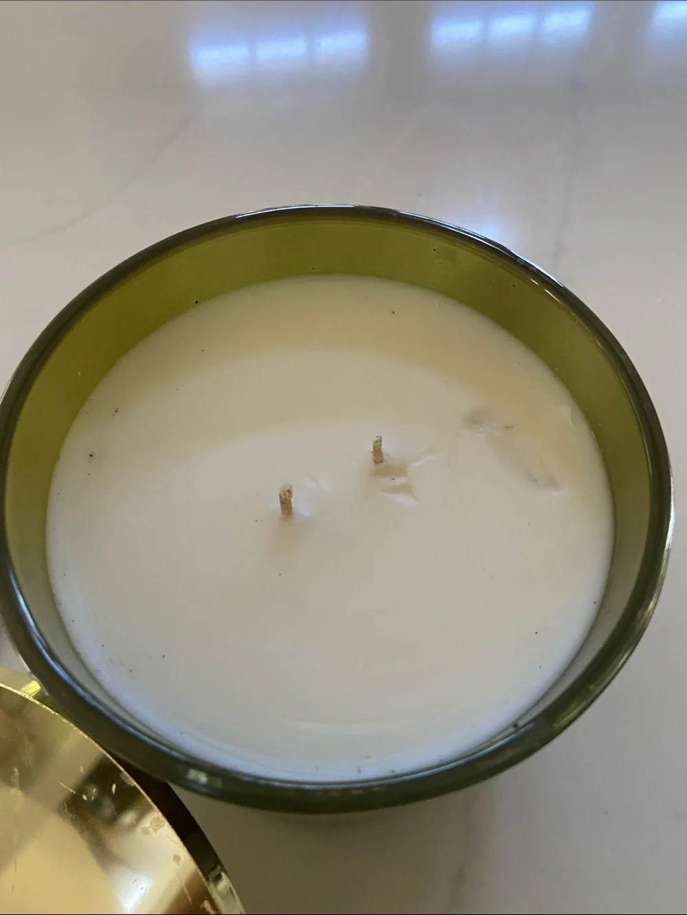 Pottery Barn Fern Grove Candle in Olive Green with Gold Lid